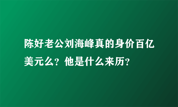 陈好老公刘海峰真的身价百亿美元么？他是什么来历？