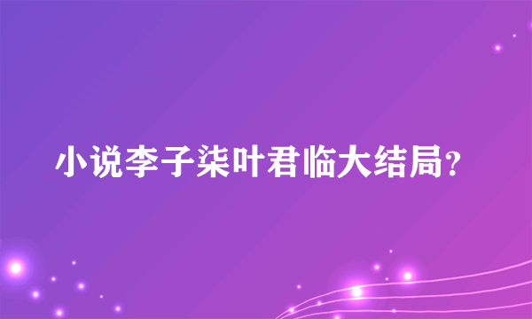 小说李子柒叶君临大结局？