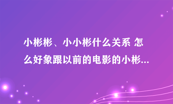 小彬彬、小小彬什么关系 怎么好象跟以前的电影的小彬彬那么像