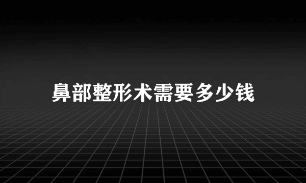 鼻部整形术需要多少钱