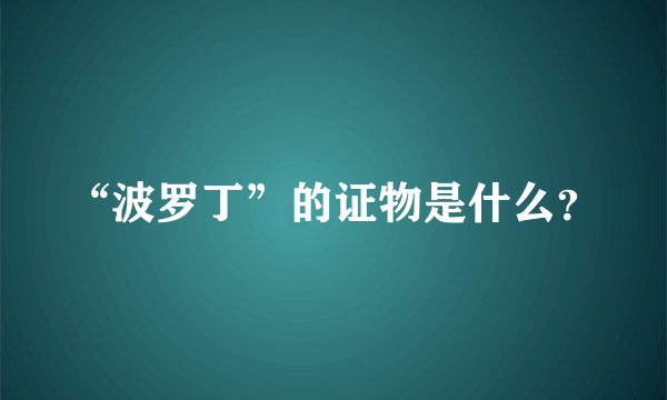 “波罗丁”的证物是什么？