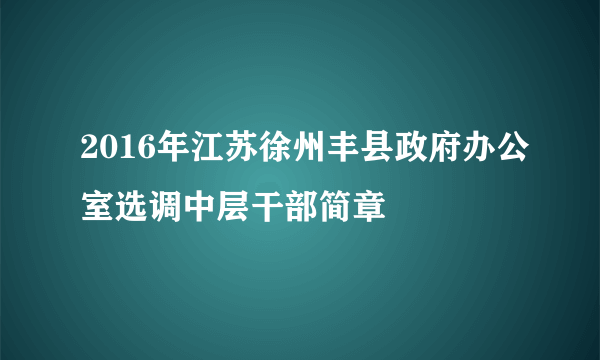 2016年江苏徐州丰县政府办公室选调中层干部简章