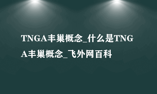 TNGA丰巢概念_什么是TNGA丰巢概念_飞外网百科