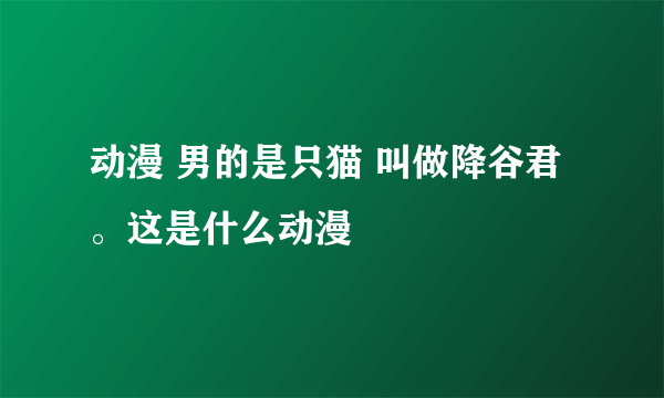 动漫 男的是只猫 叫做降谷君。这是什么动漫