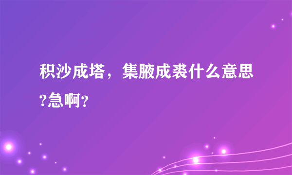 积沙成塔，集腋成裘什么意思?急啊？