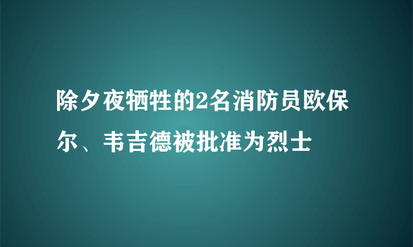 除夕夜牺牲的2名消防员欧保尔、韦吉德被批准为烈士