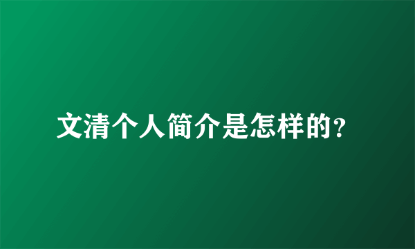 文清个人简介是怎样的？