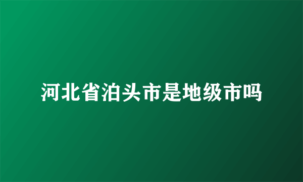 河北省泊头市是地级市吗