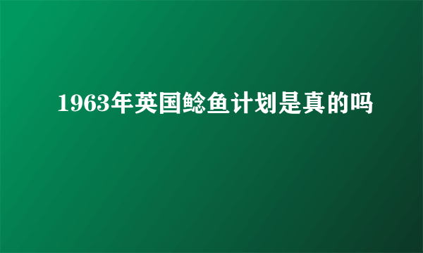 1963年英国鲶鱼计划是真的吗