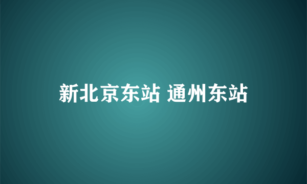 新北京东站 通州东站