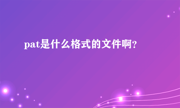 pat是什么格式的文件啊？