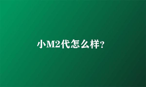 小M2代怎么样？