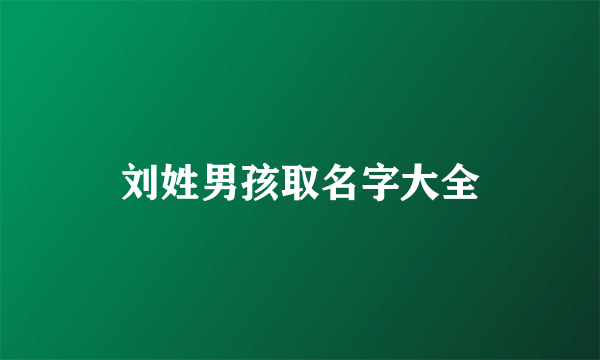 刘姓男孩取名字大全