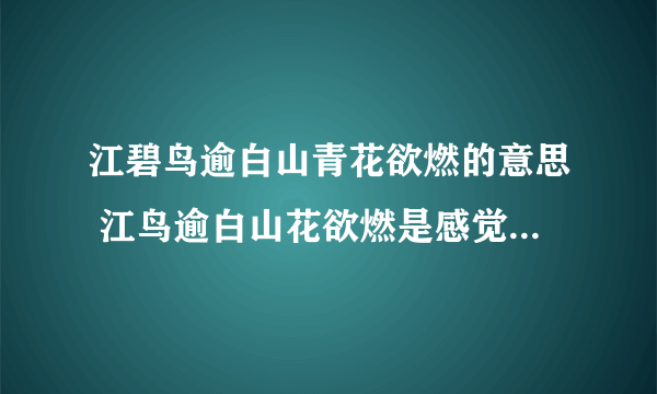 江碧鸟逾白山青花欲燃的意思 江鸟逾白山花欲燃是感觉的什么现象