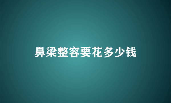 鼻梁整容要花多少钱