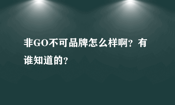 非GO不可品牌怎么样啊？有谁知道的？