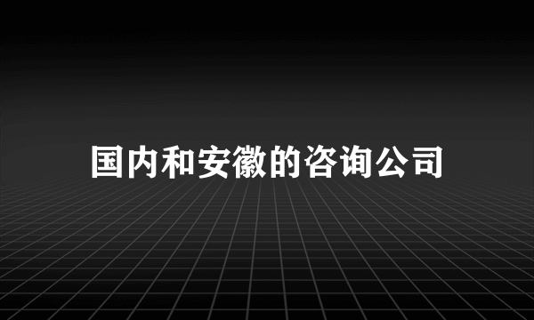 国内和安徽的咨询公司