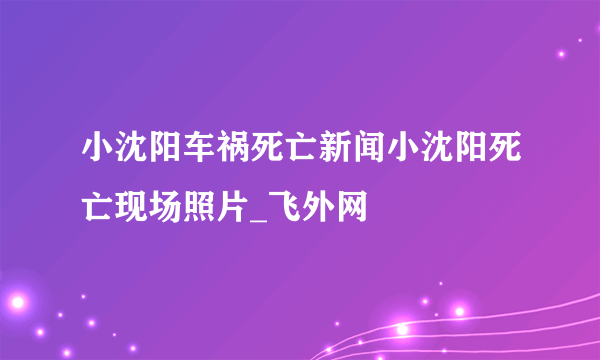 小沈阳车祸死亡新闻小沈阳死亡现场照片_飞外网