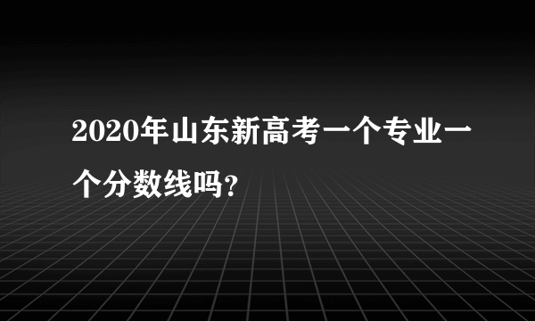 2020年山东新高考一个专业一个分数线吗？