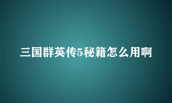 三国群英传5秘籍怎么用啊