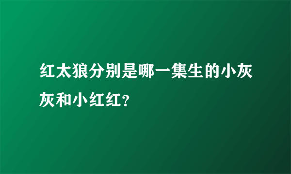 红太狼分别是哪一集生的小灰灰和小红红？