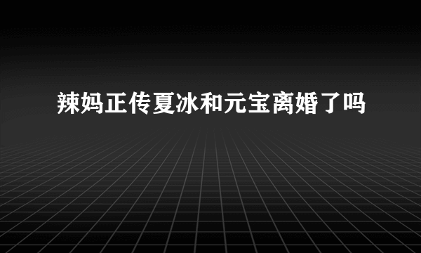 辣妈正传夏冰和元宝离婚了吗