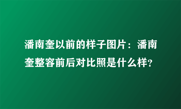 潘南奎以前的样子图片：潘南奎整容前后对比照是什么样？