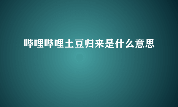 哔哩哔哩土豆归来是什么意思