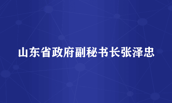 山东省政府副秘书长张泽忠