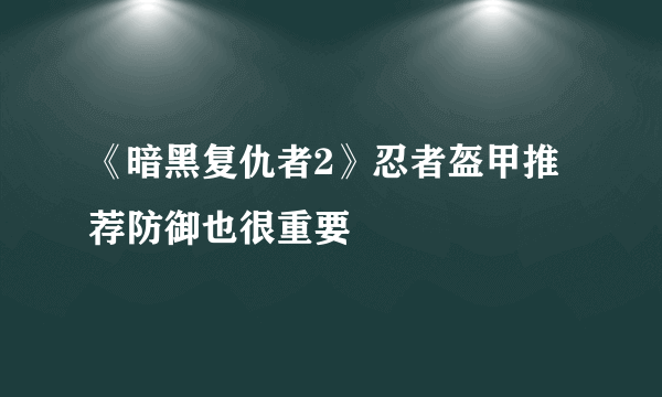 《暗黑复仇者2》忍者盔甲推荐防御也很重要