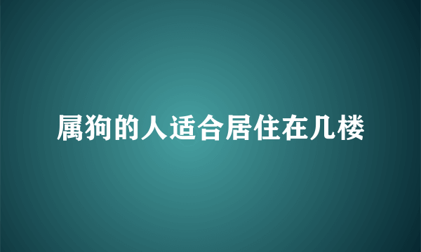 属狗的人适合居住在几楼