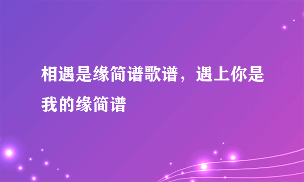 相遇是缘简谱歌谱，遇上你是我的缘简谱