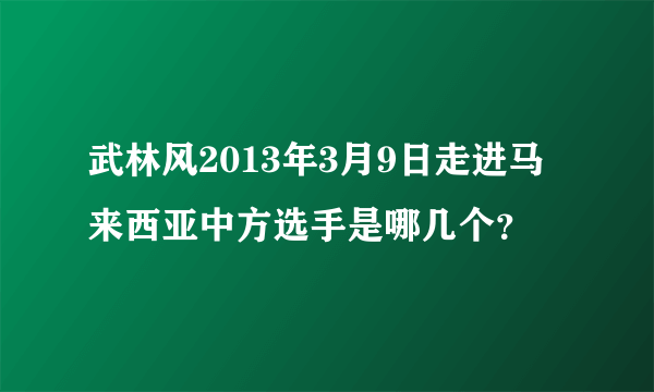 武林风2013年3月9日走进马来西亚中方选手是哪几个？