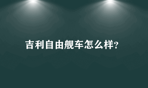 吉利自由舰车怎么样？