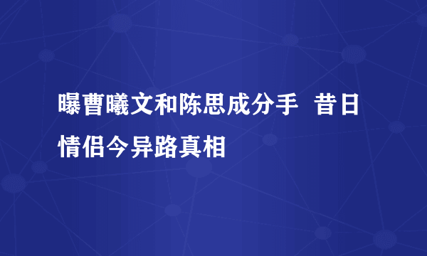 曝曹曦文和陈思成分手  昔日情侣今异路真相