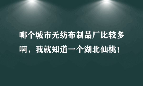 哪个城市无纺布制品厂比较多啊，我就知道一个湖北仙桃！