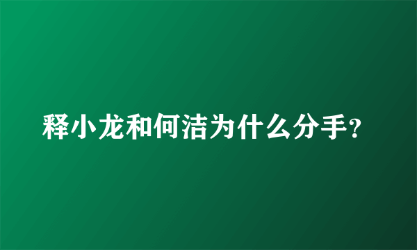 释小龙和何洁为什么分手？