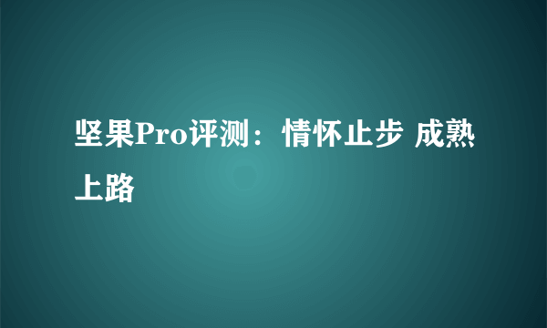 坚果Pro评测：情怀止步 成熟上路