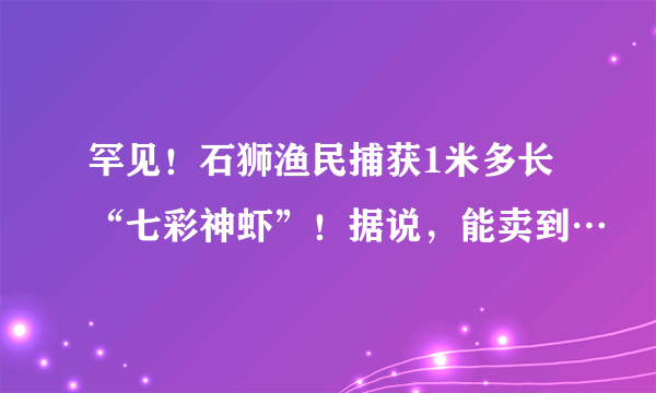 罕见！石狮渔民捕获1米多长“七彩神虾”！据说，能卖到…