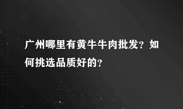 广州哪里有黄牛牛肉批发？如何挑选品质好的？