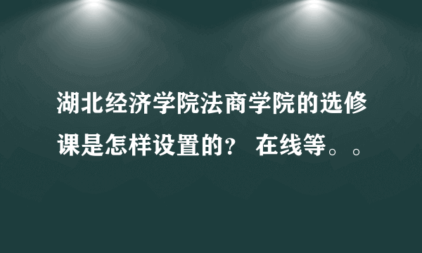 湖北经济学院法商学院的选修课是怎样设置的？ 在线等。。