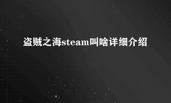 盗贼之海steam叫啥详细介绍