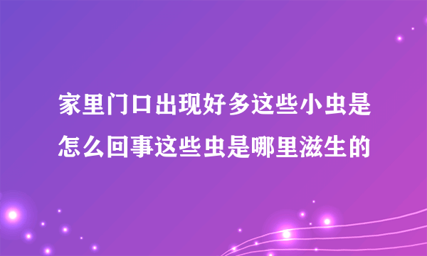 家里门口出现好多这些小虫是怎么回事这些虫是哪里滋生的