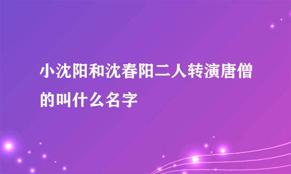 小沈阳和沈春阳二人转演唐僧的叫什么名字