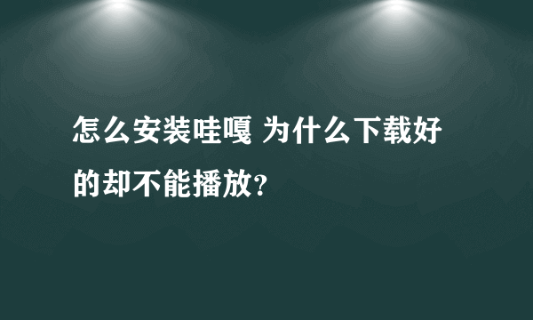 怎么安装哇嘎 为什么下载好的却不能播放？