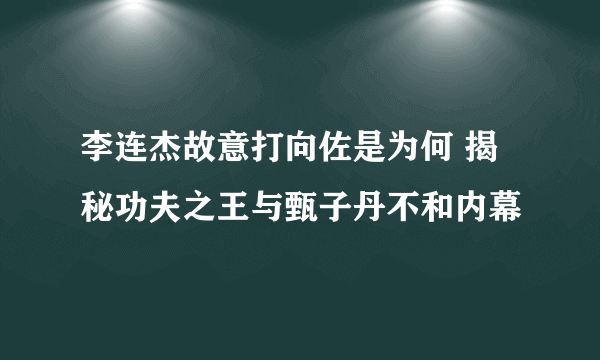 李连杰故意打向佐是为何 揭秘功夫之王与甄子丹不和内幕