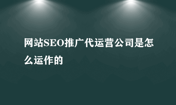 网站SEO推广代运营公司是怎么运作的