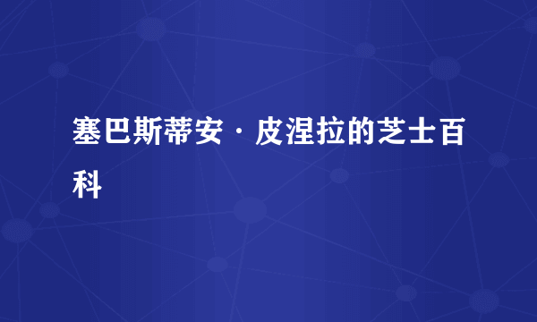 塞巴斯蒂安·皮涅拉的芝士百科