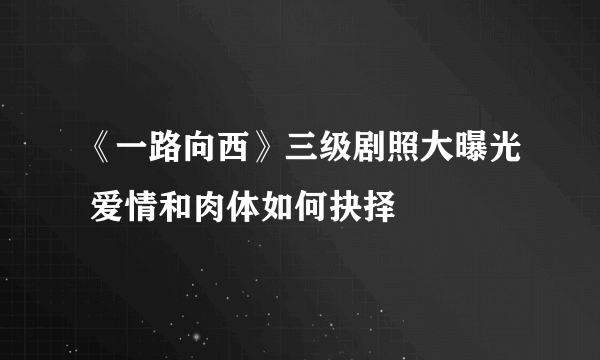 《一路向西》三级剧照大曝光 爱情和肉体如何抉择