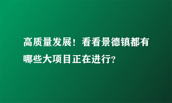 高质量发展！看看景德镇都有哪些大项目正在进行？